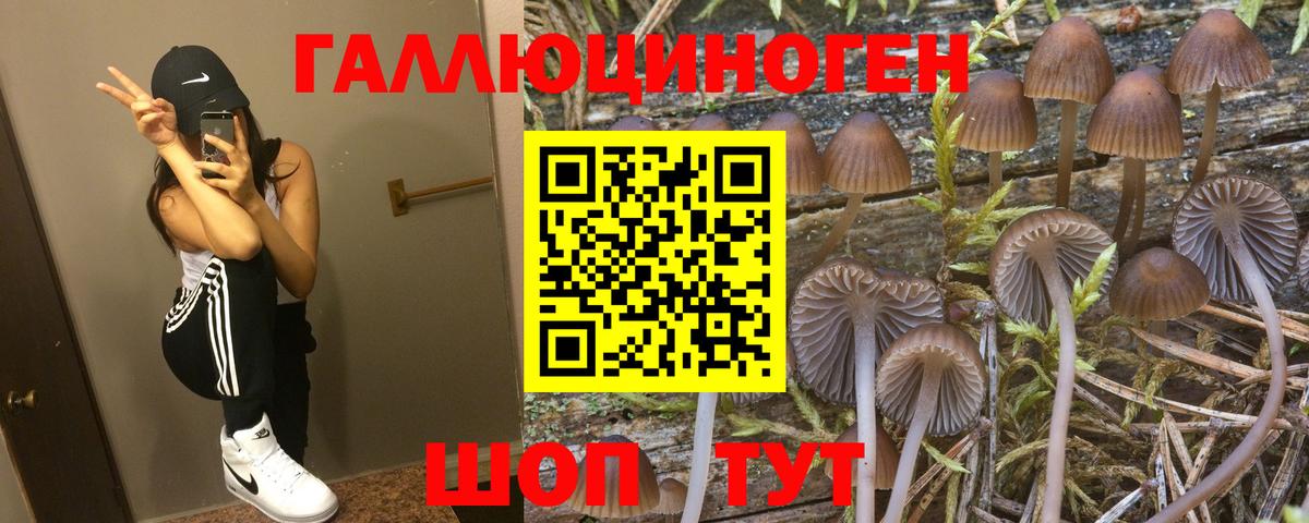Ижевск  Галлюциногенные грибы прущие грибы  Вход с VPN 